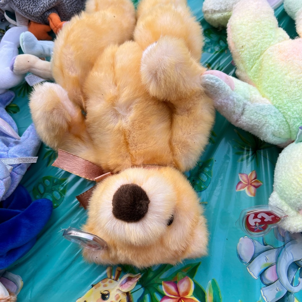 Over 110 BEANIE BABIES JULY 31st, 7 PM E S T please come and bid - Picture 3 of 13